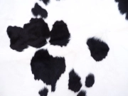 Шкура коровы натуральная на пол черно-белая арт.: 30308 - T652fbc5a5cbba857679361