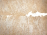 Шкура коровы натуральная бежево-белая арт.: 31307 - T69395af4b88b3806731681