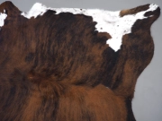 Ковер шкура коровы на пол натуральная арт.: 30405 - T65f2d3e075613018362121