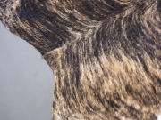 Натуральная шкура коровы на пол тигровая арт.: 30380 - T65df0dcf8c78e815004236