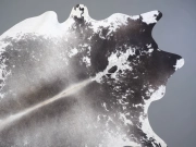 Шкура коровы натуральная серая арт.: 31365 - T699d974207051944454036