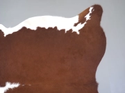 Натуральная шкура коровы коричнево-белая Герефорд арт.: 31342 - T69820415d30d1084081165