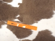 Коровья шкура натуральная коричневый мокко арт.: 31312 - T694bcf7d690c5544178436