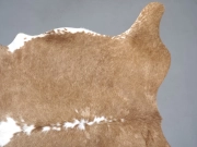 Натуральная коровья шкура – ковер бежево-белая арт.: 31306 - T693805bb453ea903650151