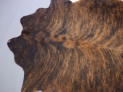 Шкура коровы натуральная тигровая арт.: 29459 - T652d443c19649648063966
