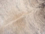 Шкура коровы натуральная экзотическая светлая арт.: 31387 - T69d3be89a9f2d801816812