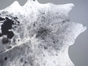 Шкура коровы натуральная соль и перец арт.: 31358 - T698f16c193b4e894706433