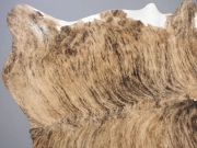 Шкура коровы натуральная тигровая с белым животом и хребтом арт.: 24429 - T652d4e74be819992704067