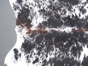 Натуральная шкура коровы черно-белая красноватая арт.: 31299 - T691da83426e35535686351