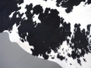 Коровья шкура натуральная черно-белая арт.: 30430 - T6613f490260b3500858640