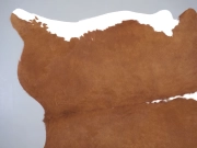 Натуральная шкура коровы коричнево-белая Герефорд арт.: 31346 - T69846e6188ff3323052703