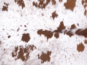 Шкура коровы натуральная соль и перец арт.: 31268 - T68c9216173737169462667