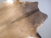 Натуральная шкура коровы серо-бежевая арт.: 31377 - T69cf76898fae8184588261