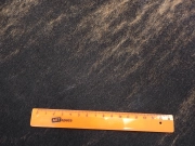 Шкура коровы натуральная тигровая арт.: 31374 - T69ce1789bc474932036126