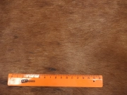 Шкура коровы натуральная тигровая арт.: 31468 - T6a15a1e3d80ec839692492