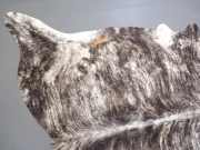 Шкура коровы натуральная светлая тигровая арт.: 31395 - T69df75677cfca235604964