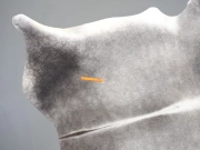 Шкура коровы натуральная серая арт.: 31366 - T699d9a40522ed372490760