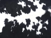 Коровья шкура натуральная черно-белая арт.: 30430 - T6613f532e9f85104963619.jpeg