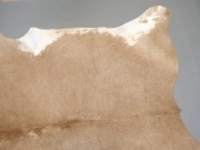 Шкура коровы ковер натуральная бежевая арт.: 31392 - T69d64801b55bc460334531