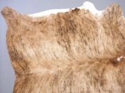 Шкура коровы ковер натуральная экзотическая тигровая арт.: 29450 - T652e44a6d09d1176787251