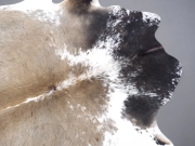 Шкура коровы натуральная серо-бежевая арт.: 30332 - T656f1cce49469104994951