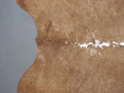 Натуральная коровья шкура – ковер бежево-белая арт.: 31306 - T693805bc49bdc965411582