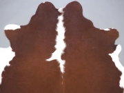 Натуральная шкура коровы коричнево-белая Герефорд арт.: 31342 - T698204436d8eb346318775