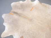 Шкура коровы натуральная бежево-белая арт.: 31319 - T696a214ddc893124406209