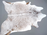 Шкура коровы натуральная соль и перец арт.: 31304 - T691f0785087bc681142767