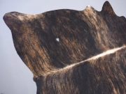 Коровья шкура натуральная на пол темно-тигровая арт.: 29389 - T652d0c6366e5a127889904