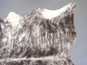 Шкура коровы натуральная светлая тигровая арт.: 31395 - T69df754e50e2a188372977