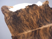Шкура коровы натуральная тигровая с белым животом арт.: 29336 - T652d4aa9a6e65075958325
