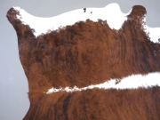 Шкура коровы натуральная тигровая арт.: 31325 - T69723417ae6e7756426354