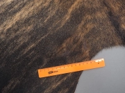 Шкура коровы натуральная тигровая арт.: 31374 - T69ce178976409360581883