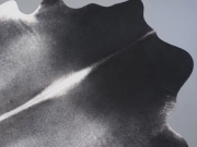 Шкура коровы натуральная темно-серая арт.: 31333 - T6980856d6f894790594099