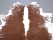 Натуральная шкура коровы коричнево-белая Герефорд арт.: 31338 - T698091ca7be84909608775