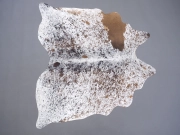 Шкура коровы натуральная соль и перец арт.: 31270 - T68d115fb346fa910692585