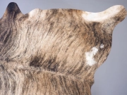 Шкура коровы натуральная насыщенно-тигровая арт.: 29465 - T652cfbf6950fa114510342