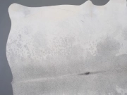 Шкура коровы натуральная серая арт.: 31334 - T698088e667ec0963201889