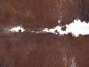 Шкура коровы натуральная тигровая арт.: 31328 - T6980796e6b5a3905143308