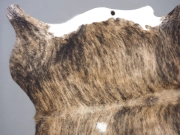 Коровья шкура натуральная тигровая арт.: 30447 - T661644bc58ba0786513435