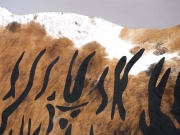 Коровья шкура ковёр — шкура тигра арт.: 29029 - T6507f9c6ba835295385278