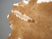 Натуральная шкура коровы коричнево-белая арт.: 31308 - T694146f63c7de919591265