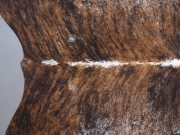 Шкура коровы натуральная тигровая арт.: 31337 - T69808f6b0d240835515038