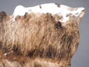 Шкура коровы натуральная тигровая арт.: 31263 - T68c2cde910bcc570318869