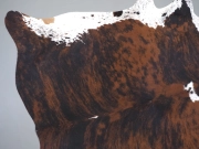 Шкура коровы натуральная тигровая арт.: 31340 - T6980a6d68abaa552165689