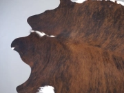 Шкура коровы натуральная тигровая арт.: 31363 - T6998502662a0a913120994