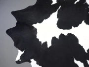 Ковер шкура коровы натуральная черно-белая арт.: 30429 - T6613e958e2de3887581309