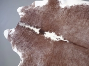 Натуральная шкура коровы коричнево-белая Герефорд арт.: 31357 - T698de2aeb51f5998176597