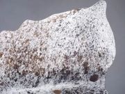 Шкура коровы натуральная соль и перец арт.: 31270 - T68d115fcc7c94437322926